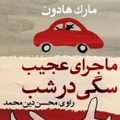 ماجرای عجیب سگی در شب