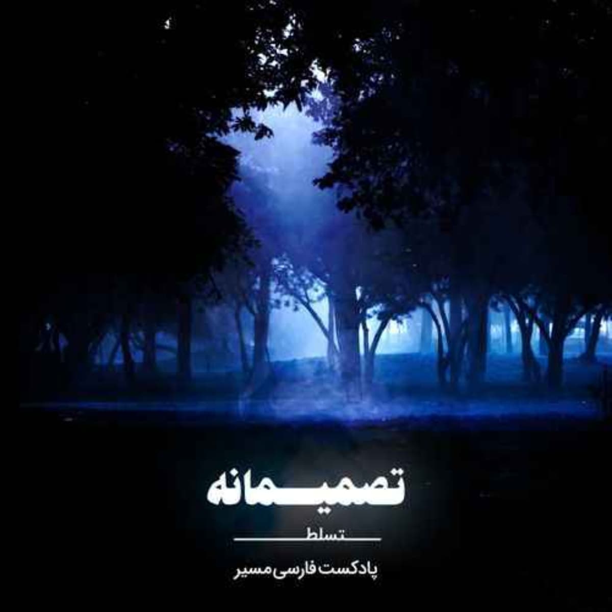 تستی برای اینکه ببینید چقدر سوگیری تصمیم گیری دارید