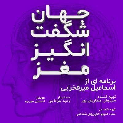 چگونه مغز ما جهان ما را می سازد؟!