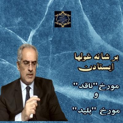 بر شانه غولها ایستادن؛ مورخ "ناقد" و مورخ "بلید"