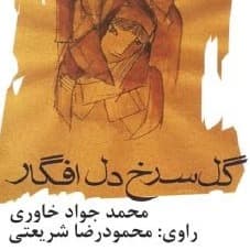 گل سرخ دل افگار