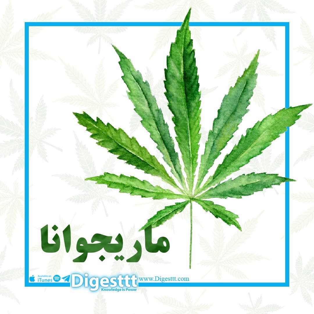 ماریجوانا