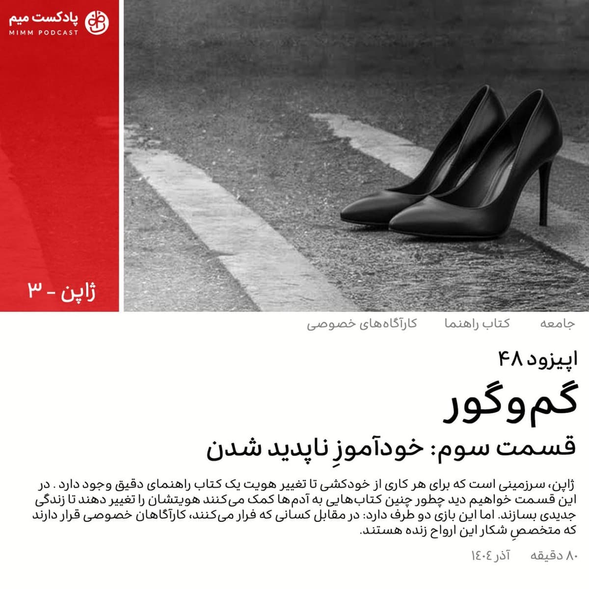 ژاپن ۳: گم و گور (قسمت سوم)