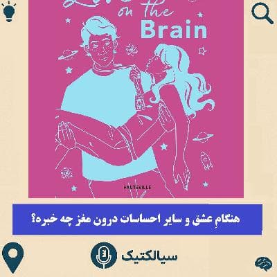 سیالکتیک: هنگامِ عشق و سایر احساسات درون مغز چه خبره؟