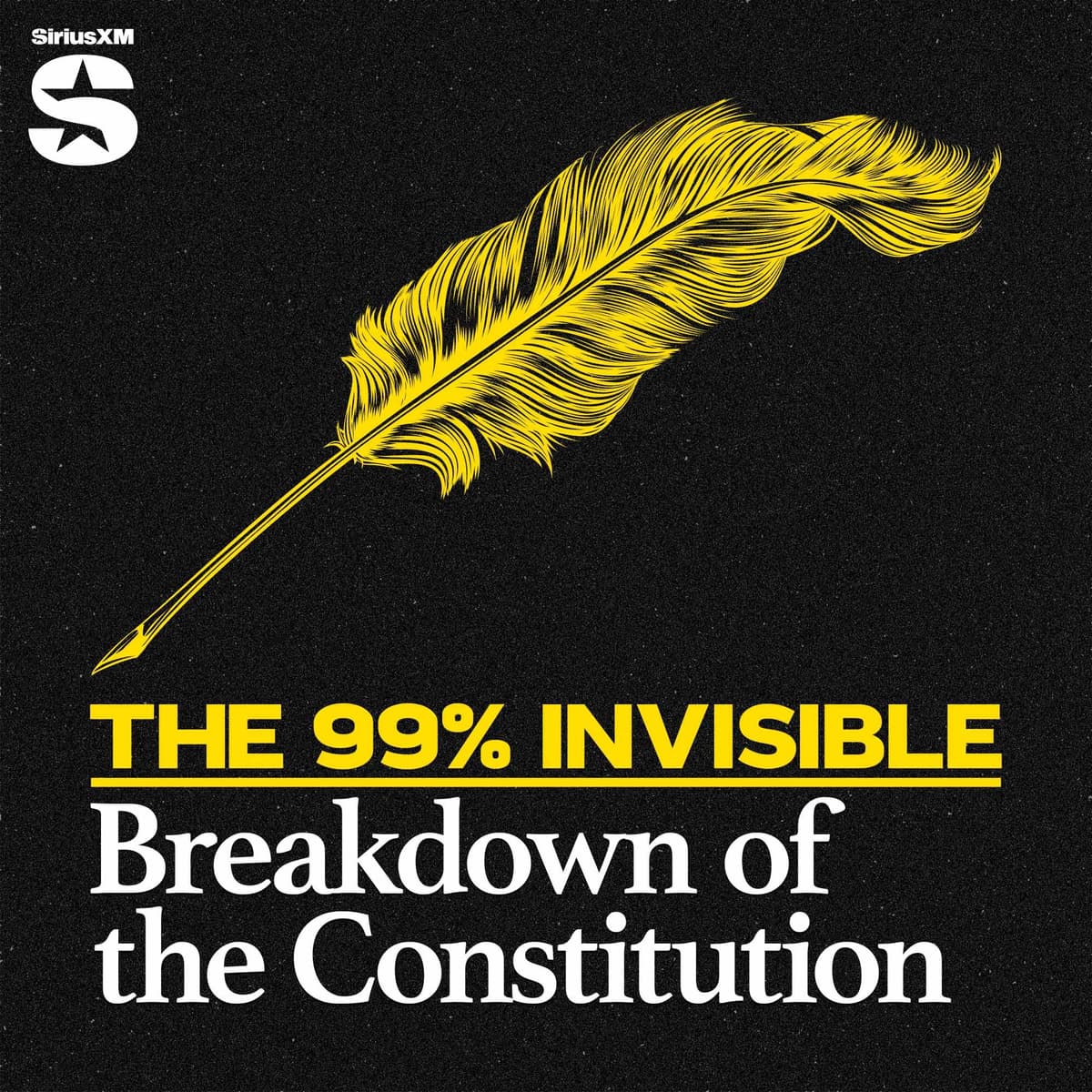 Constitution Breakdown #9: Alondra Nelson