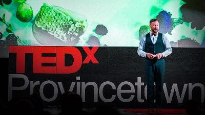 Why bees hold the key to our future | Noah Wilson-Rich