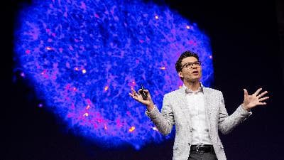 How we're reverse engineering the human brain in the lab | Sergiu P. Pasca