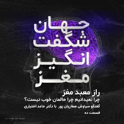 راز معبد مغز
