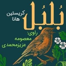 بلبل