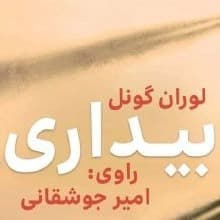 بیداری