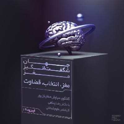 مغز، انتخاب، قضاوت