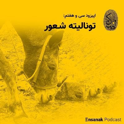 سی و هفتم: تونالیته شعور