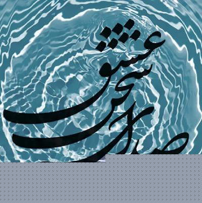چرا نه در پی عزم دیار خود باشم ۳۳۷