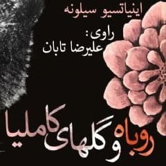 روباه و گلهای کاملیا