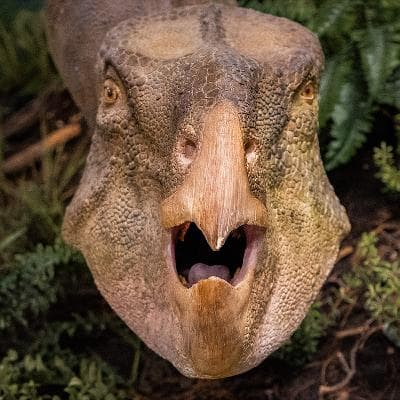 The day the dinosaurs died