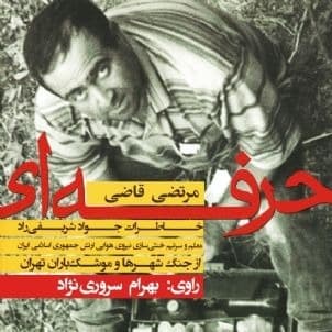 حرفه‌ای