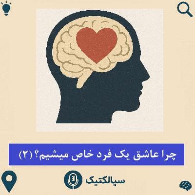 سیالکتیک: چرا عاشق یک فردِ خاص می‌شویم؟ - بخش دوم