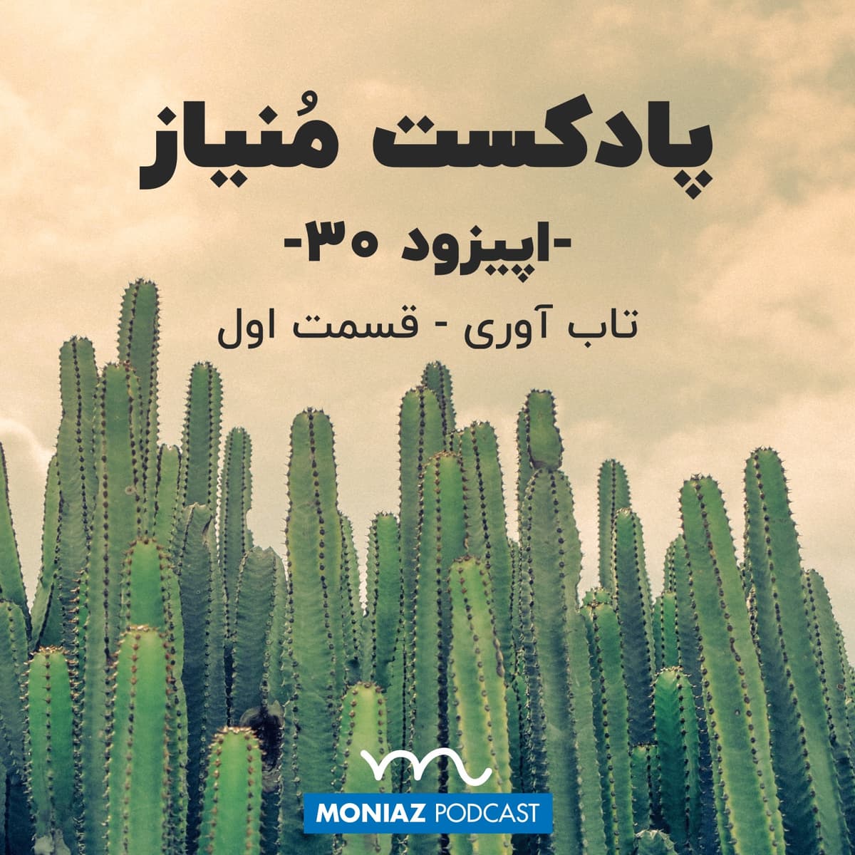 پادکست سی‌ام: تاب آوری - قسمت اول