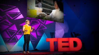 What a nun can teach a scientist about ecology | Victoria Gill