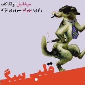 قلب سگ
