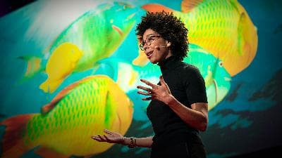 A coral reef love story | Ayana Elizabeth Johnson
