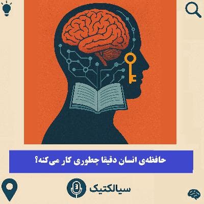 سیالکتیک: حافظهی انسان دقیقا چطوری کار میکنه؟
