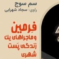 فرمین و ماجراهای یک زندگی پست شهری