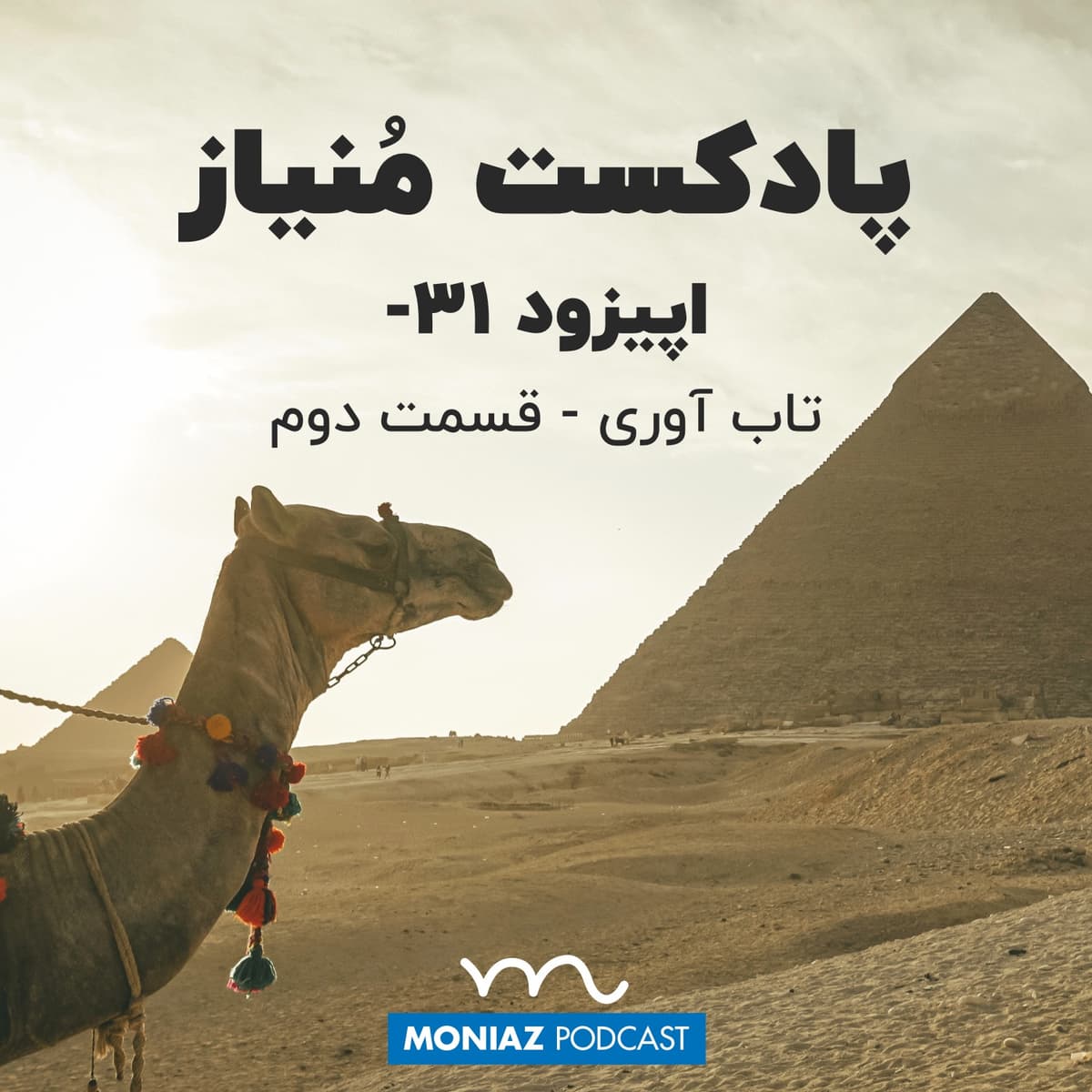 پادکست سی و یکم: تاب آوری - قسمت دوم