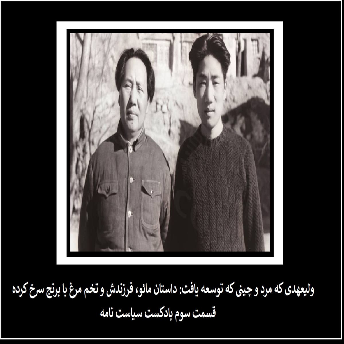 ولیعهدی که مرد و چینی که توسعه یافت: داستان مائو،فرزندش و تخم مرغ با برنج سرخ کرده