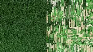 What it feels like to see Earth from space | Benjamin Grant